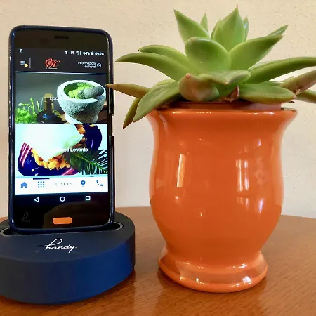 オアシ 3* レヴァント