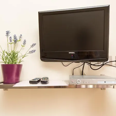 オアシ レヴァント