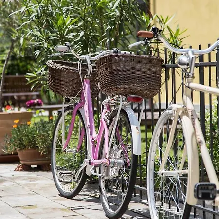 オアシ ホテル 3*