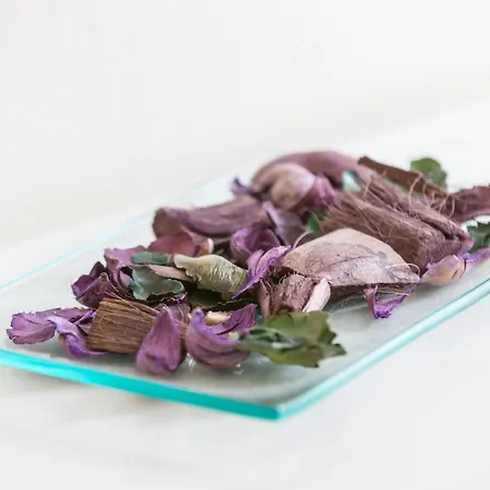 オアシ ホテル レヴァント