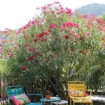 Oasi Eco Boutique 3*