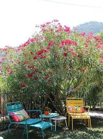 Oasi Eco Boutique 3*