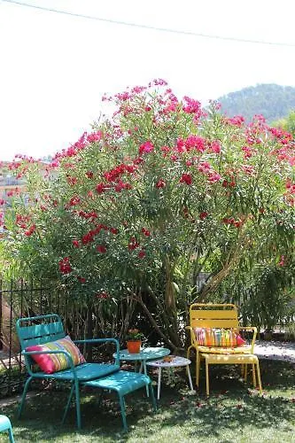 Oasi Eco Boutique 3*