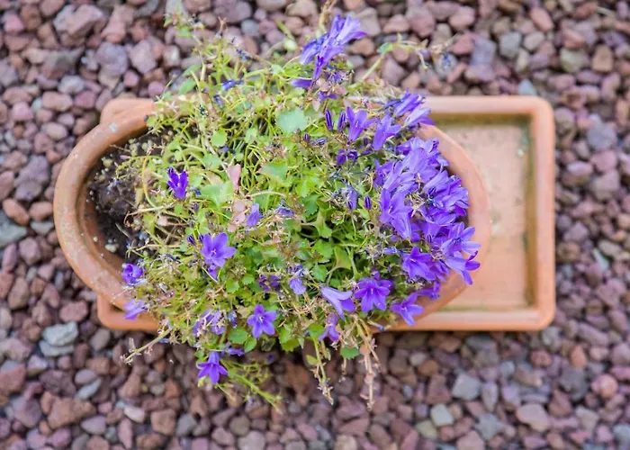 Oasi Eco Boutique Szálloda 3*