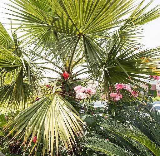 Oasi Eco Boutique Szálloda