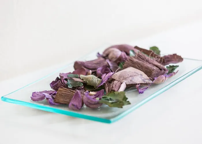 Oasi Eco Boutique Hotel Levanto