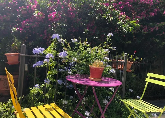 Oasi Eco Boutique 3*